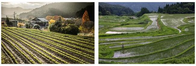 Agriculture in Japan